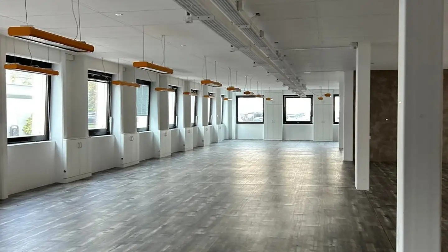 Proprietà industriale in affitto - Rue Du Pré-De-La-Fontaine 19, 1242 Satigny - Foto 2