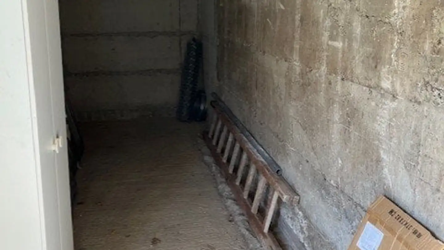 Appartamento in affitto - Insone, 6951 Insone - Foto 2