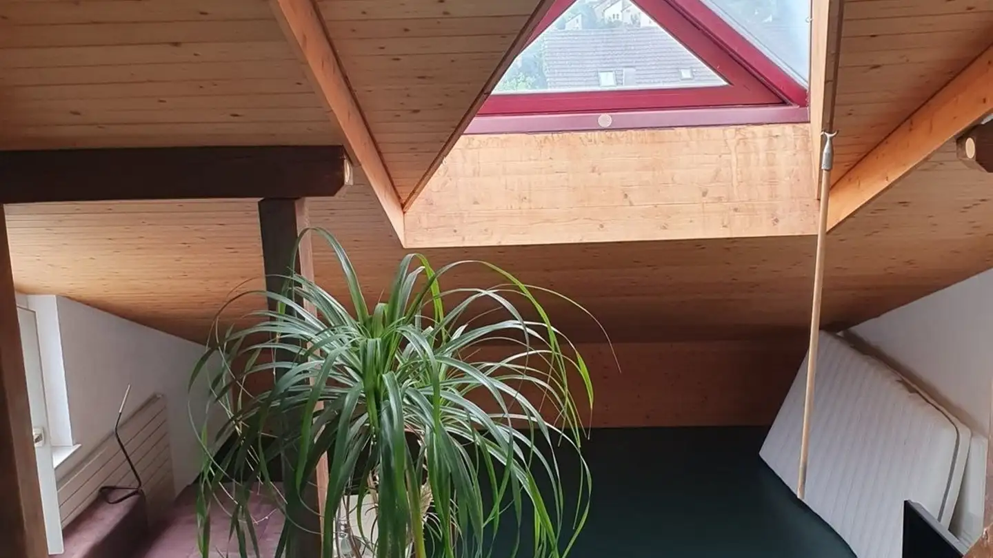 Chambre à louer - Hauptstrasse 90, 4133 Pratteln