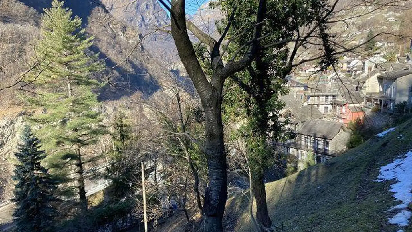 Terrain constructible à vendre - 6632 Vogorno - Photo 3