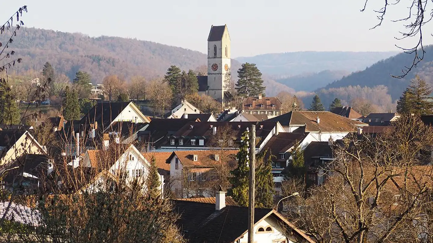 Maison individuelle à vendre - 4460 Gelterkinden