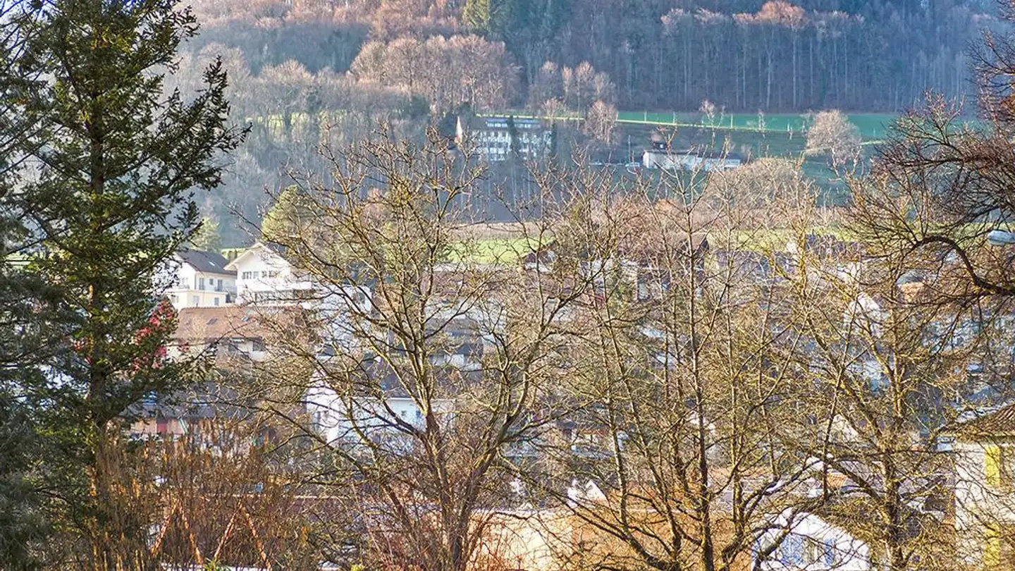 Casa singola in vendita - 4460 Gelterkinden - Photo 2