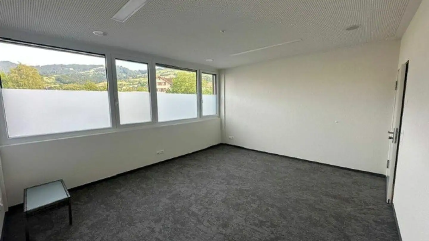 Bureau à louer - Eschenstrasse 5, 9450 Altstätten SG - Photo 3