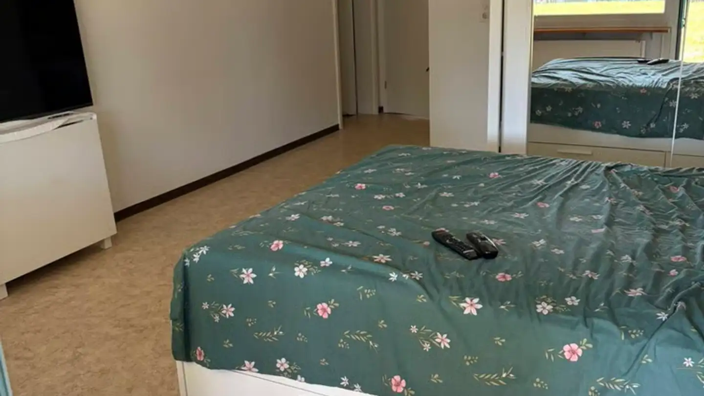 Appartamento in affitto - Baumgarten 6, 8632 Tann - Foto 3