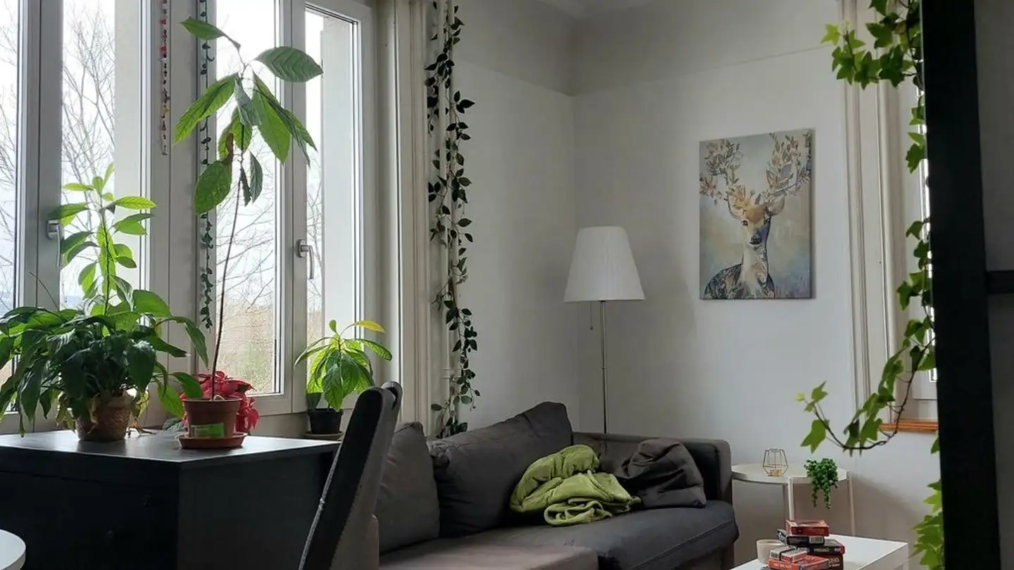 Single room for rent - Schönaustrasse 75, 9000 St. Gallen - Photo 3