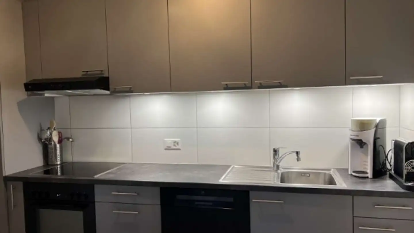 Appartamento in affitto - Rue De L'industrie 41, 1867 Ollon VD