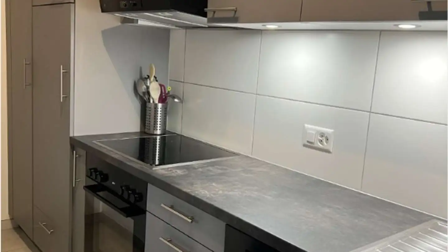 Appartamento in affitto - Rue De L'industrie 41, 1867 Ollon VD - Foto 2