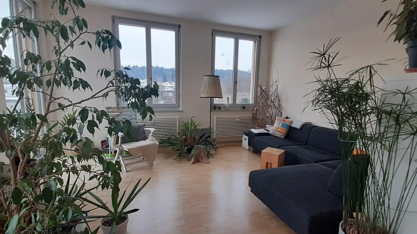 Appartement à louer - Schaffhauserstrasse 163, 8400 Winterthur - Photo 2