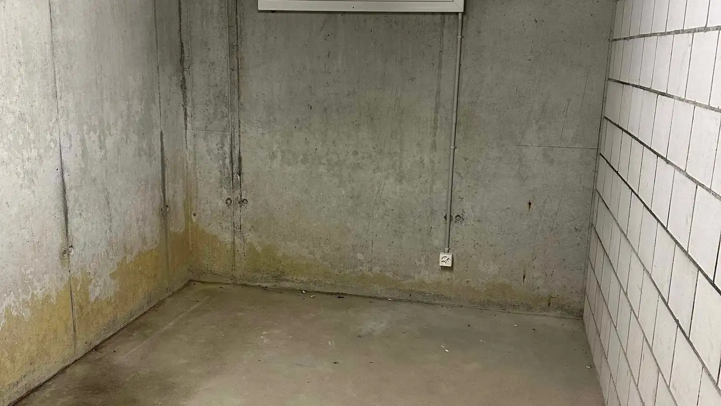 Sala hobby in affitto - Murtenstrasse 61a, 3282 Bargen BE - Photo 3