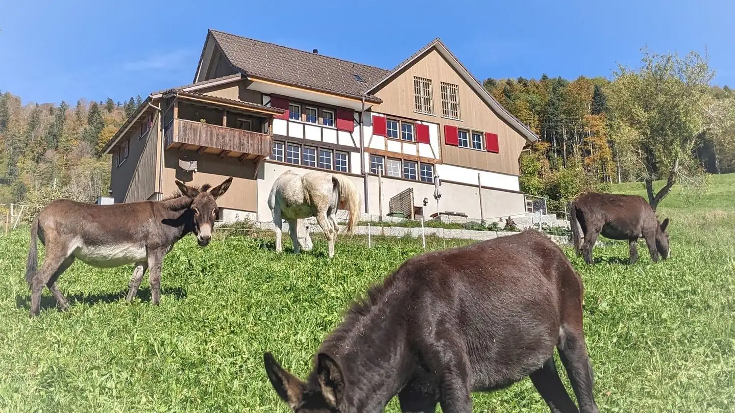 Einfamilienhaus mieten - 8636 Wald ZH - Foto 2