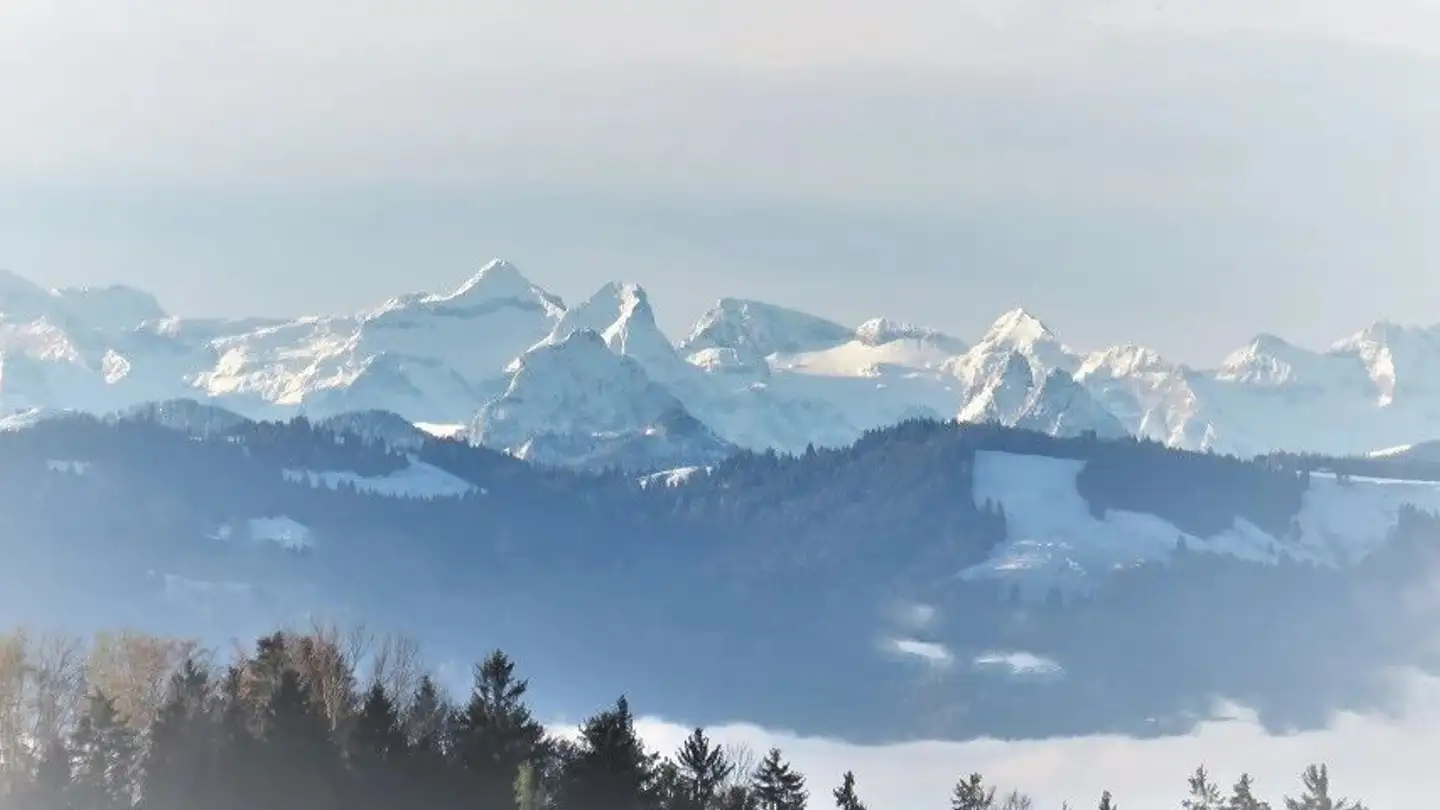 Einfamilienhaus mieten - 8636 Wald ZH - Foto 3