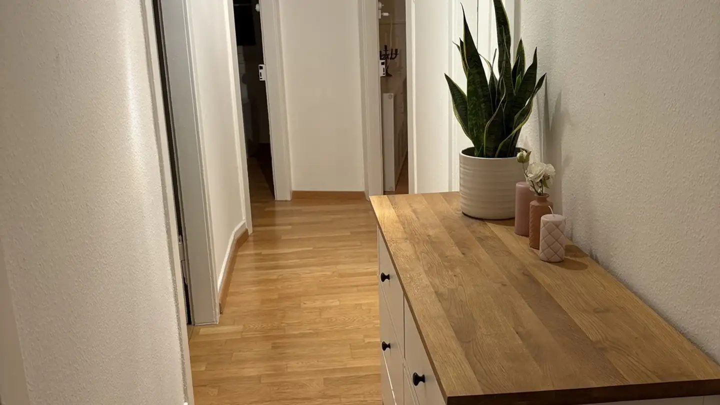 Appartamento in affitto - 8810 Horgen - Foto 3