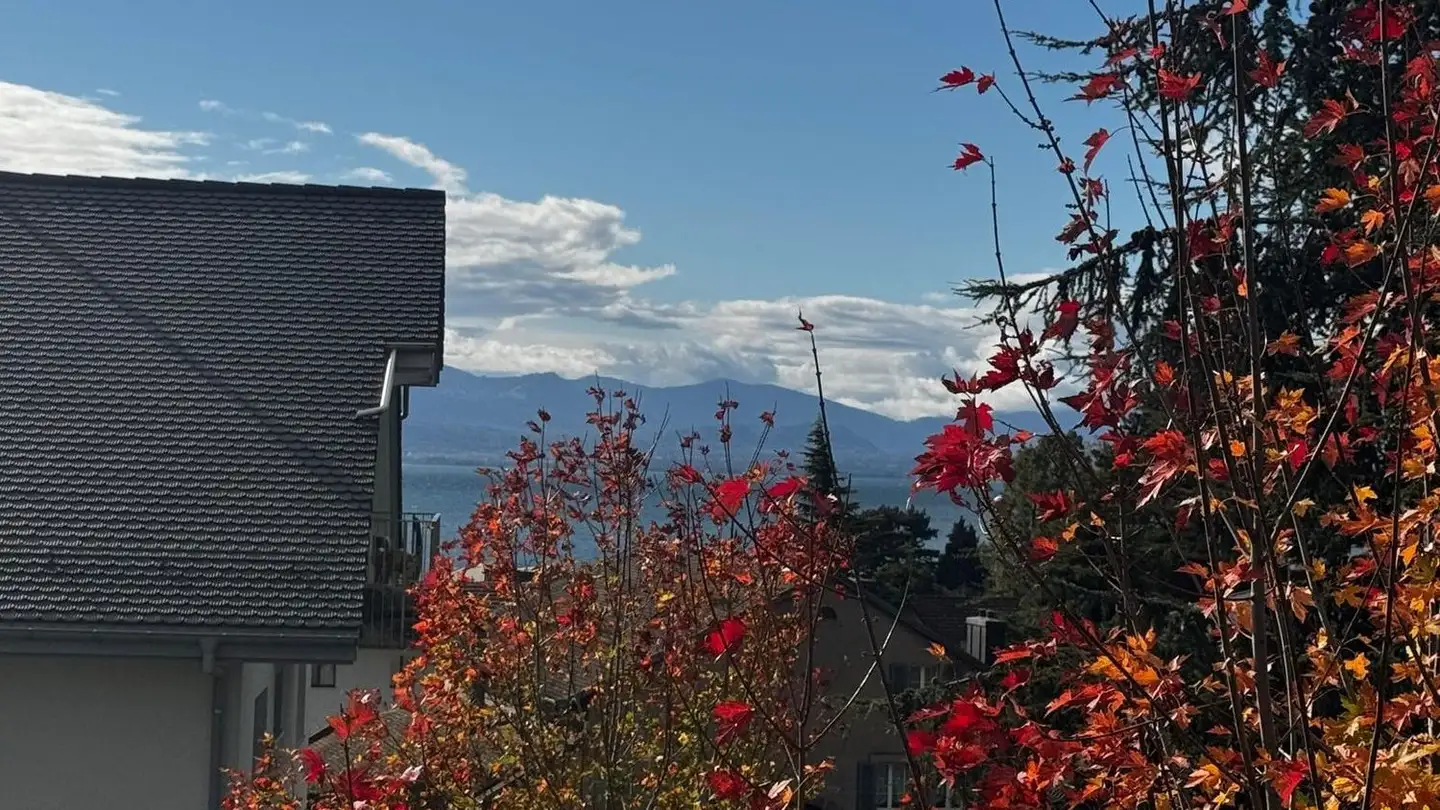 Attico in affitto - Chemin De L'ochettaz 3, 1025 St-Sulpice VD - Photo 3