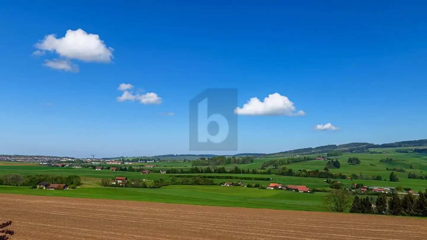 Villa for rent - 1628 Vuadens - Photo 2