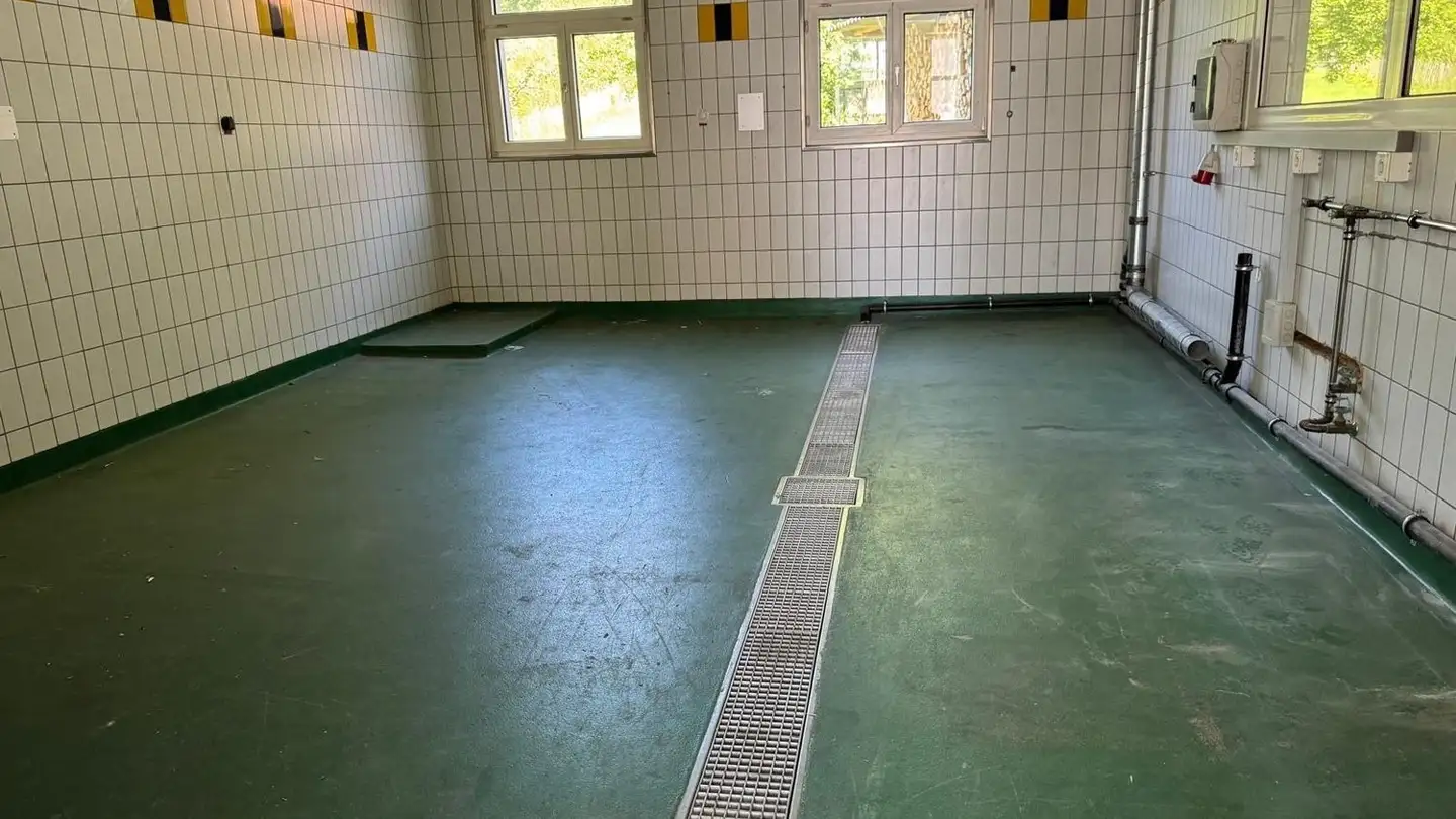 Gewerbe mieten - Badenerstrasse 4, 8104 Weiningen ZH - Foto 2