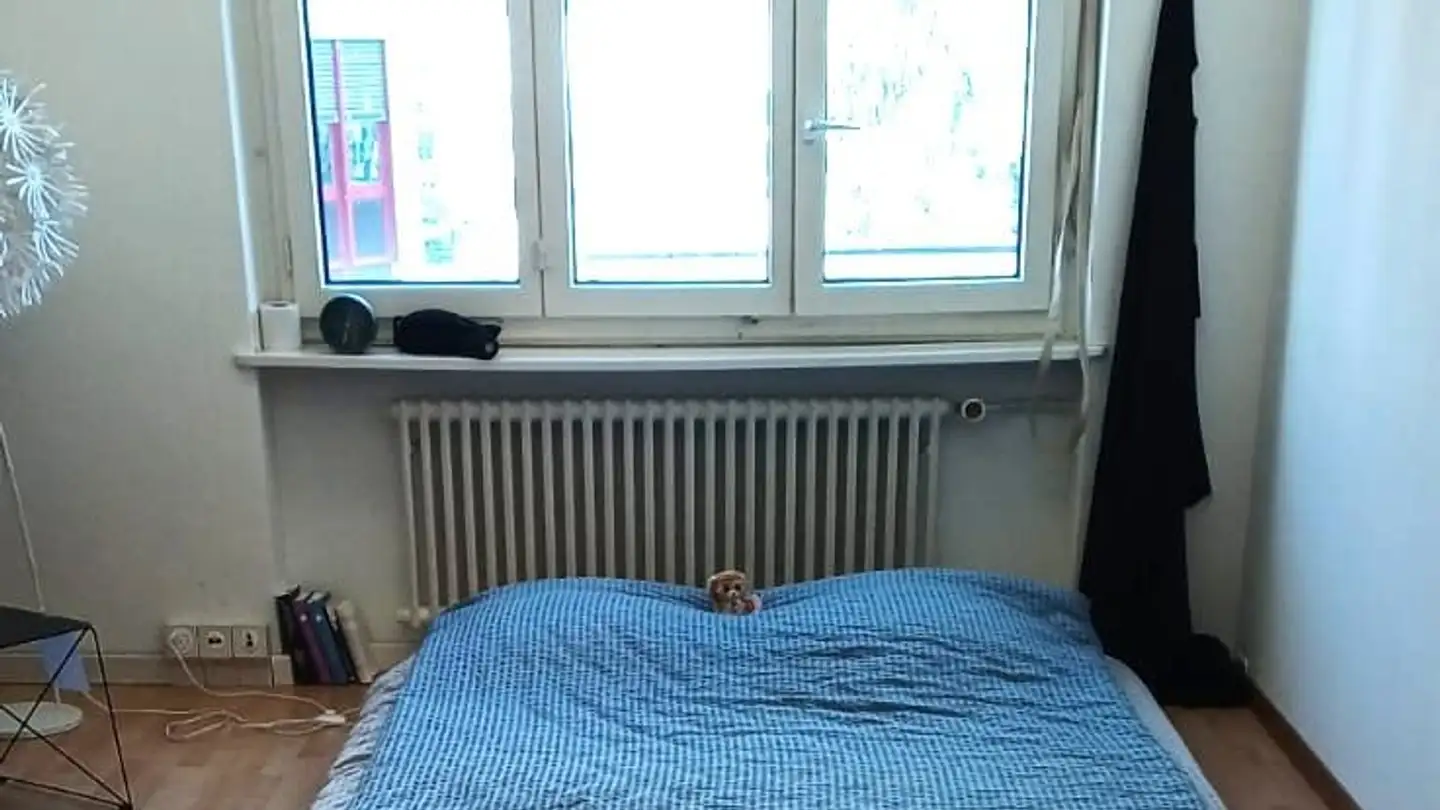 Appartamento in affitto - 6300 Zug - Photo 4