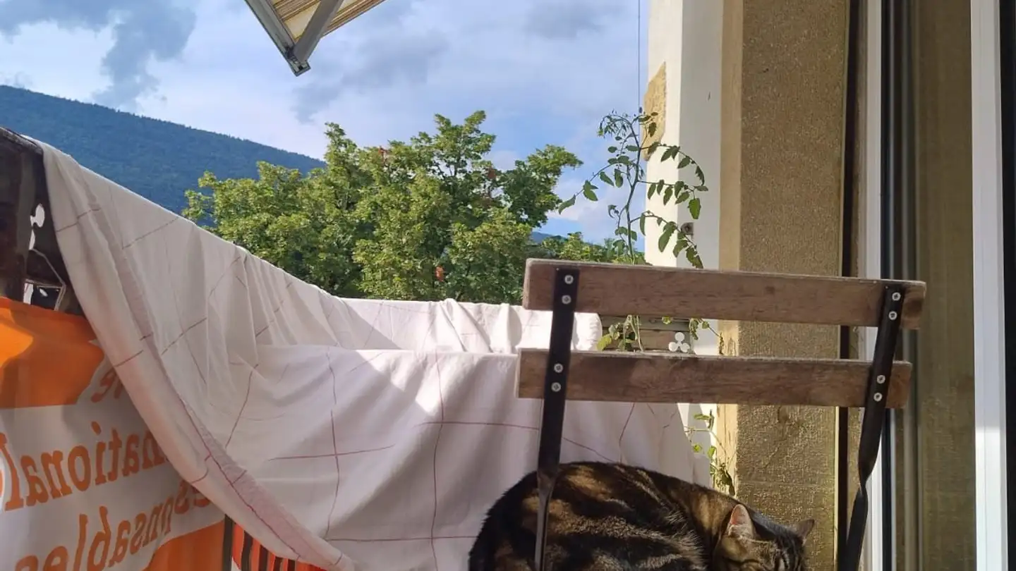 Single room for rent - Rue Des Moulins 4, 2072 St-Blaise - Photo 4