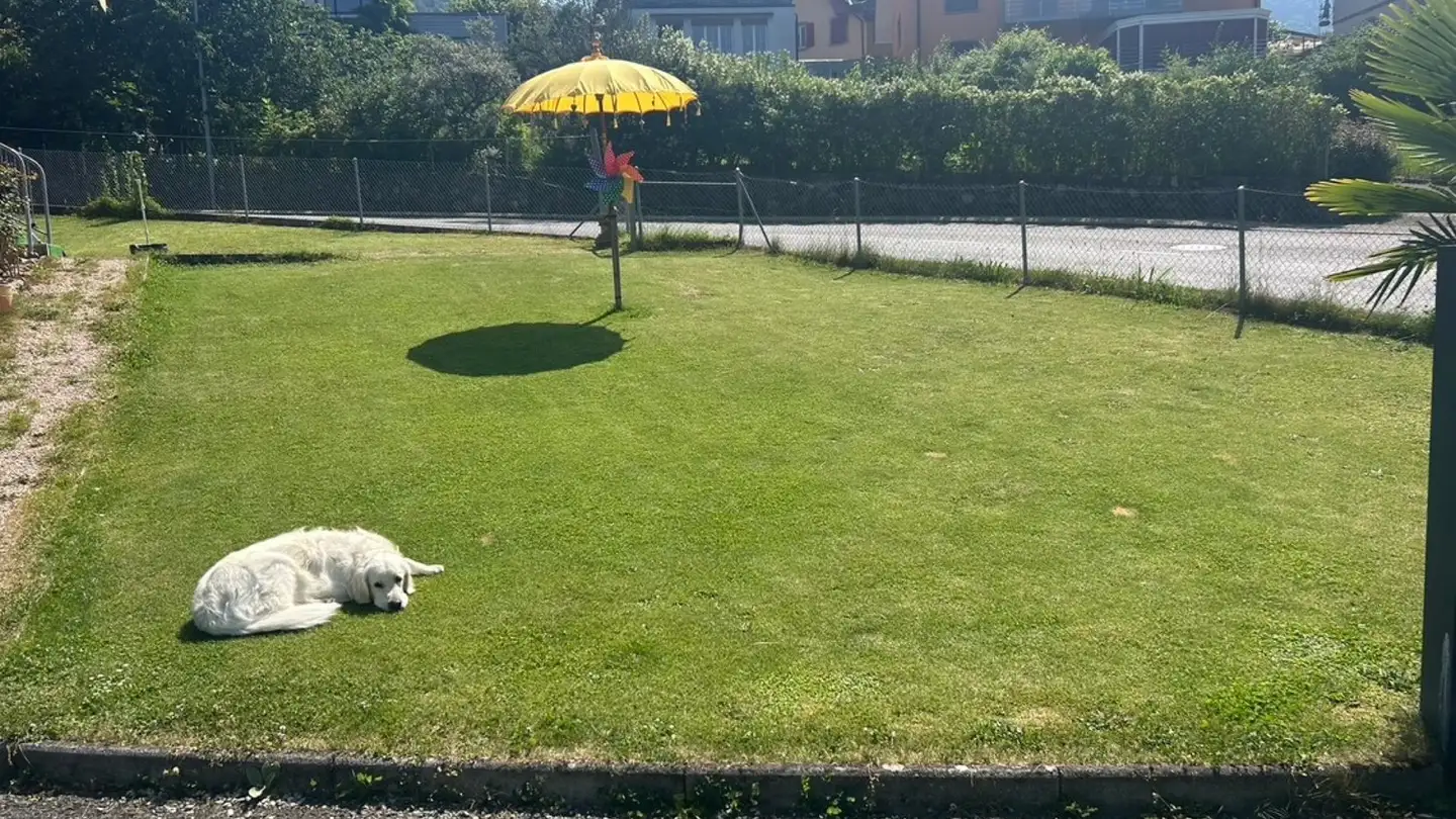 Single house for sale - 1807 Blonay - Photo 2