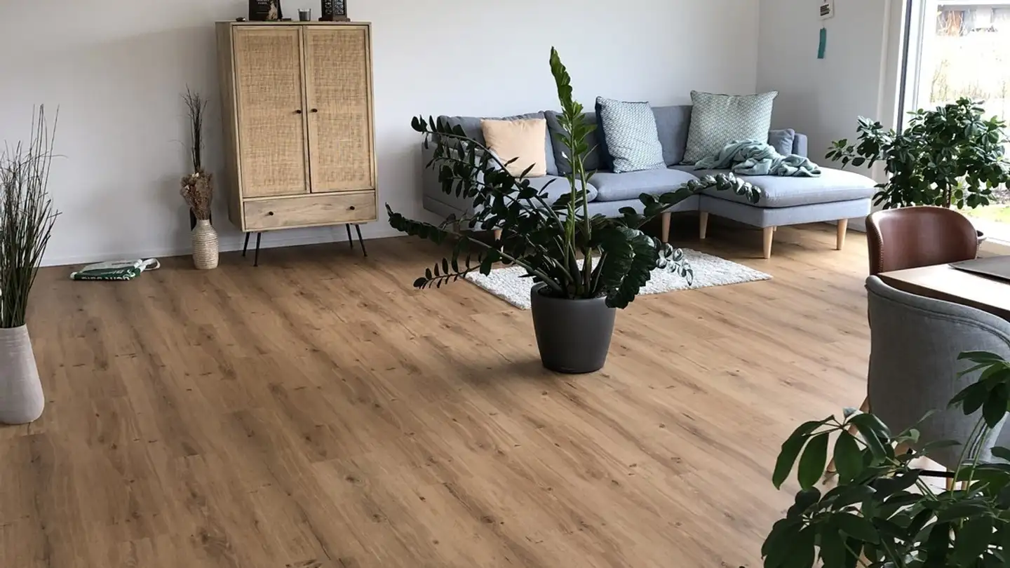 Wohnung mieten - 6260 Reiden