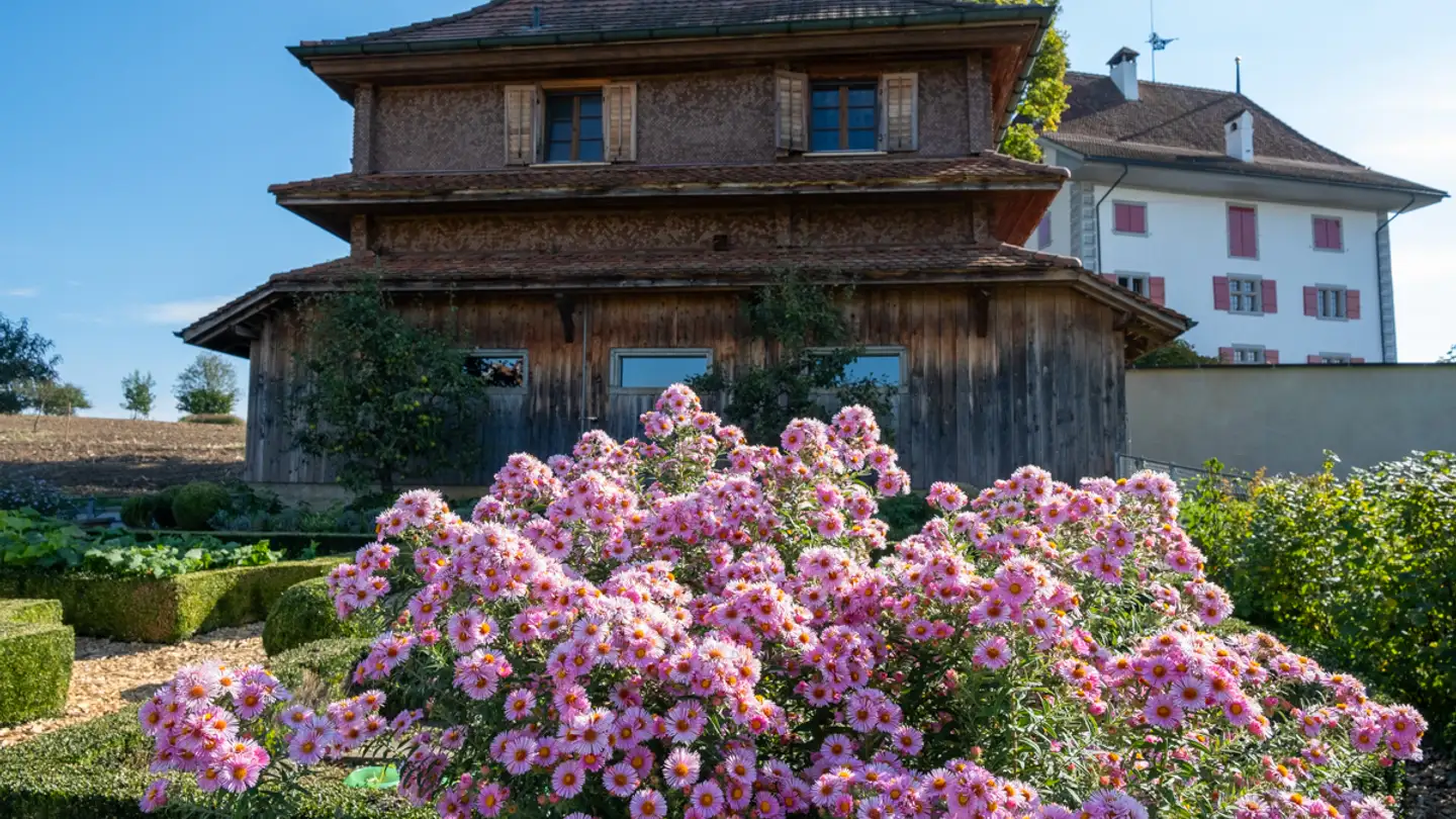 Farm for rent - Schlossstrasse, 6018 Buttisholz - Photo 3