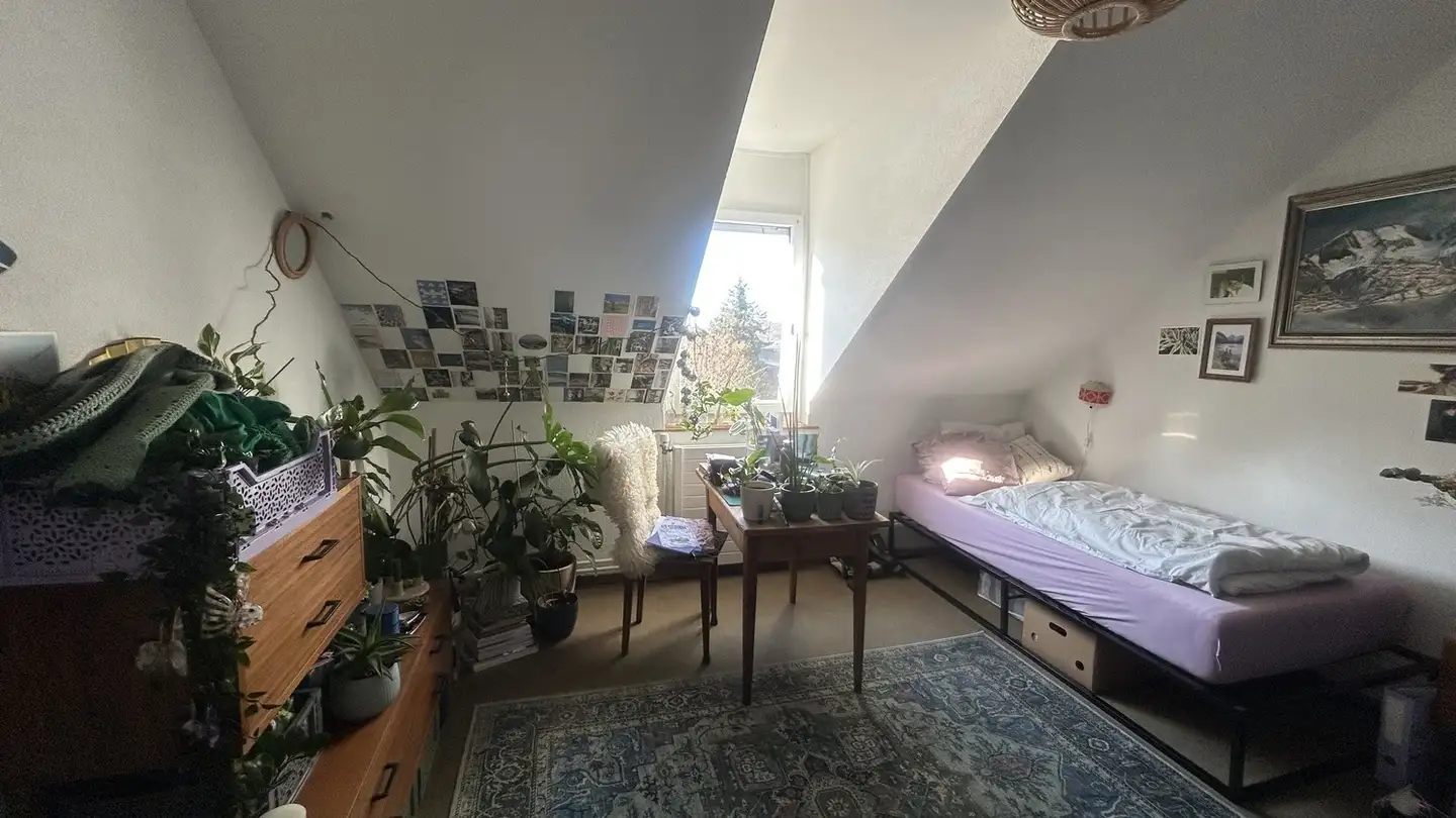 Chambre à louer - 3006 Bern