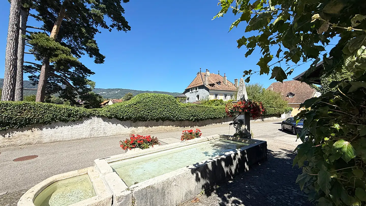 Villa à vendre - 1270 Trélex