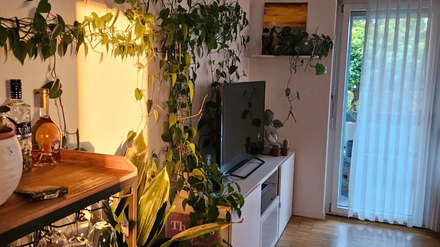 Appartement à louer - 8804 Au ZH - Photo 3