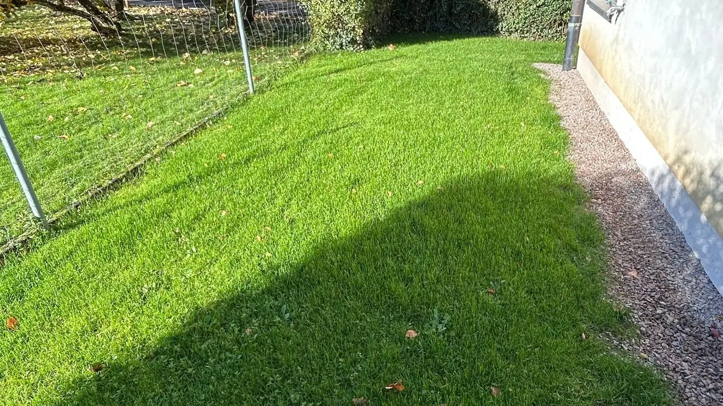 Casa singola in affitto - Finkelerweg 22, 4144 Arlesheim - Photo 3