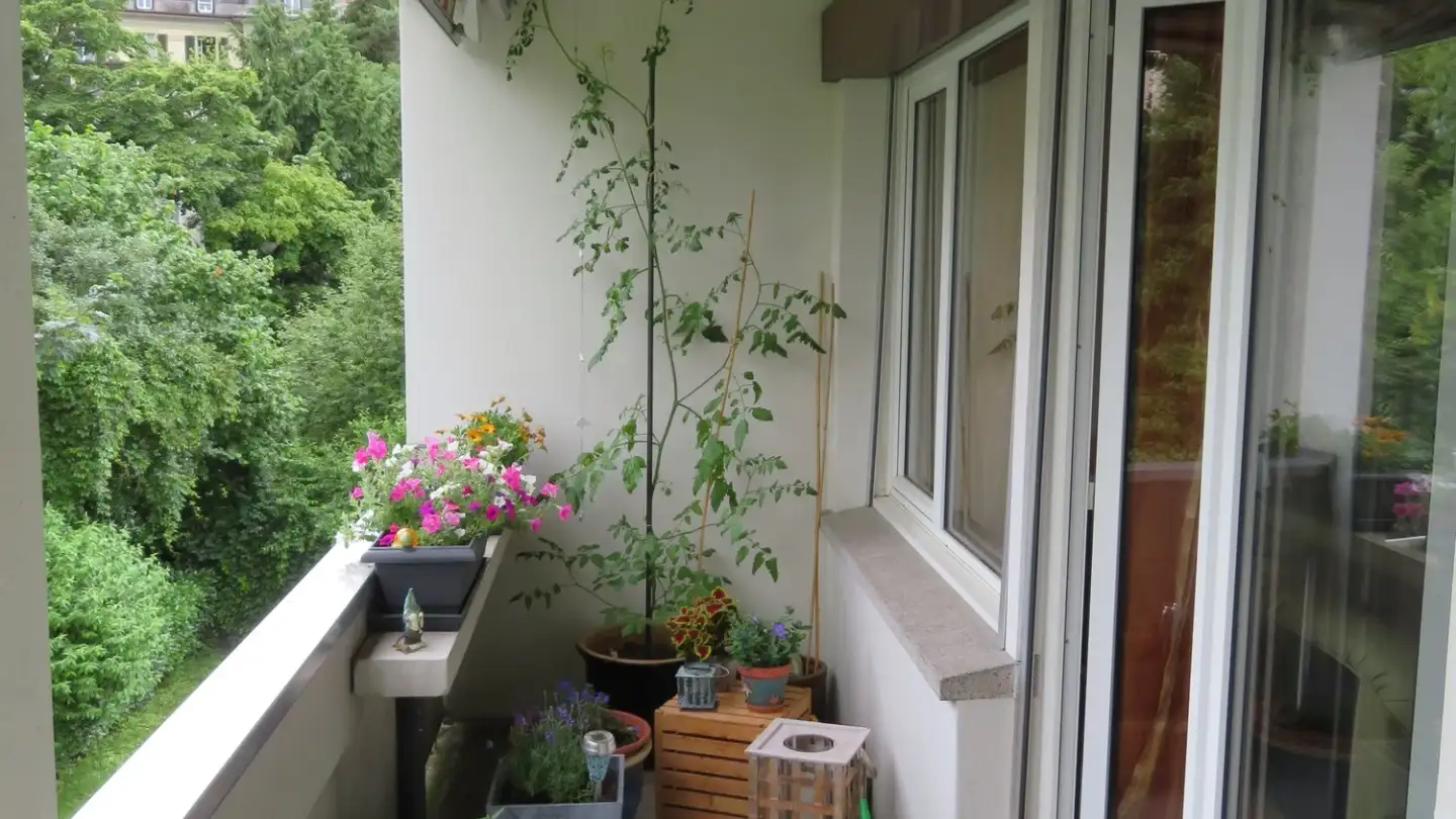 Apartment for rent - Sulgenauweg 16, 3007 Bern - Photo 3