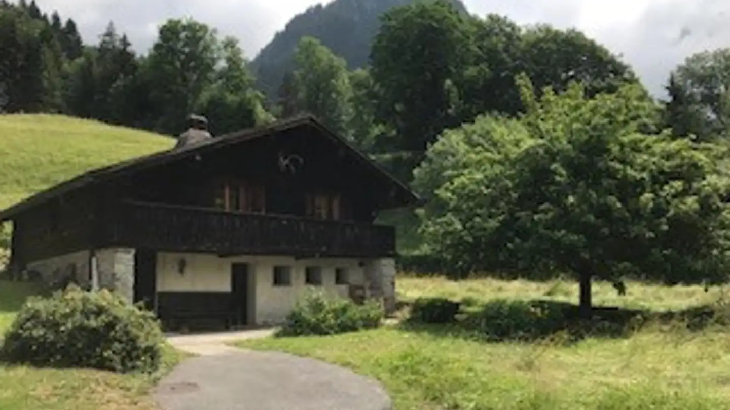 Single house for rent - Route De Mamont 5, 1880 Les Plans-sur-Bex