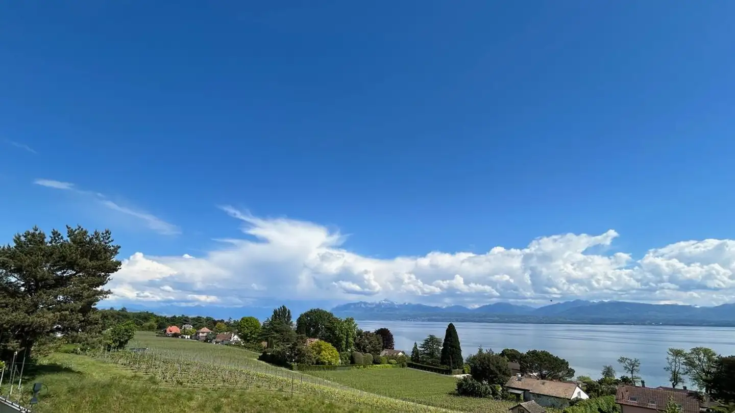 Appartement à louer - 1164 Buchillon