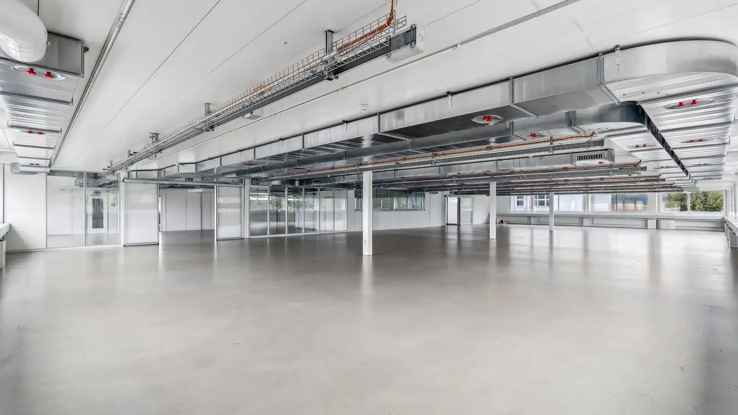 Commercial à louer - Buchmattstrasse 4, 3400 Burgdorf - Photo 2