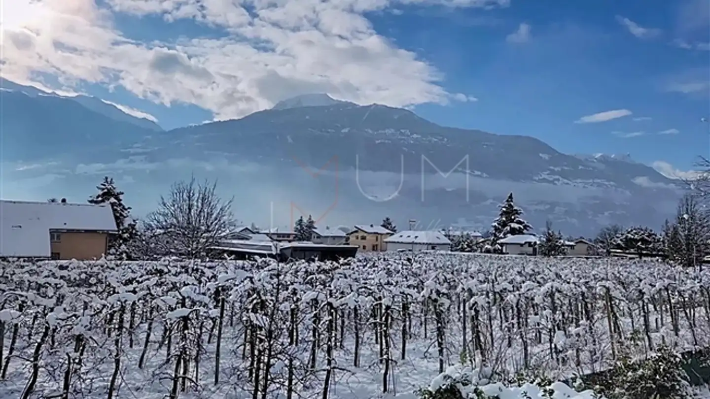 Einfamilienhaus kaufen - 1964 Conthey