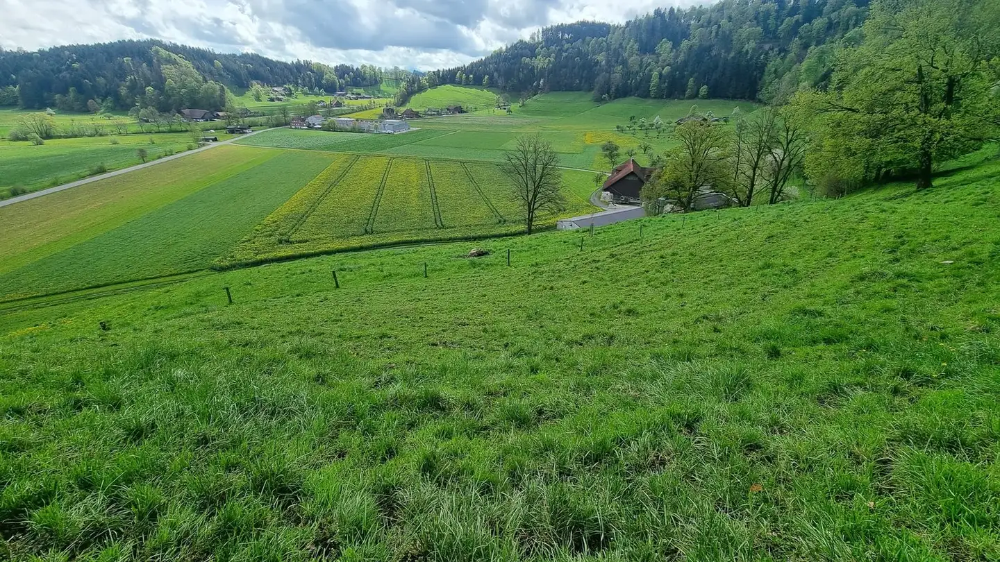 Maison individuelle à vendre - Hübeli, 6143 Ohmstal - Photo 2