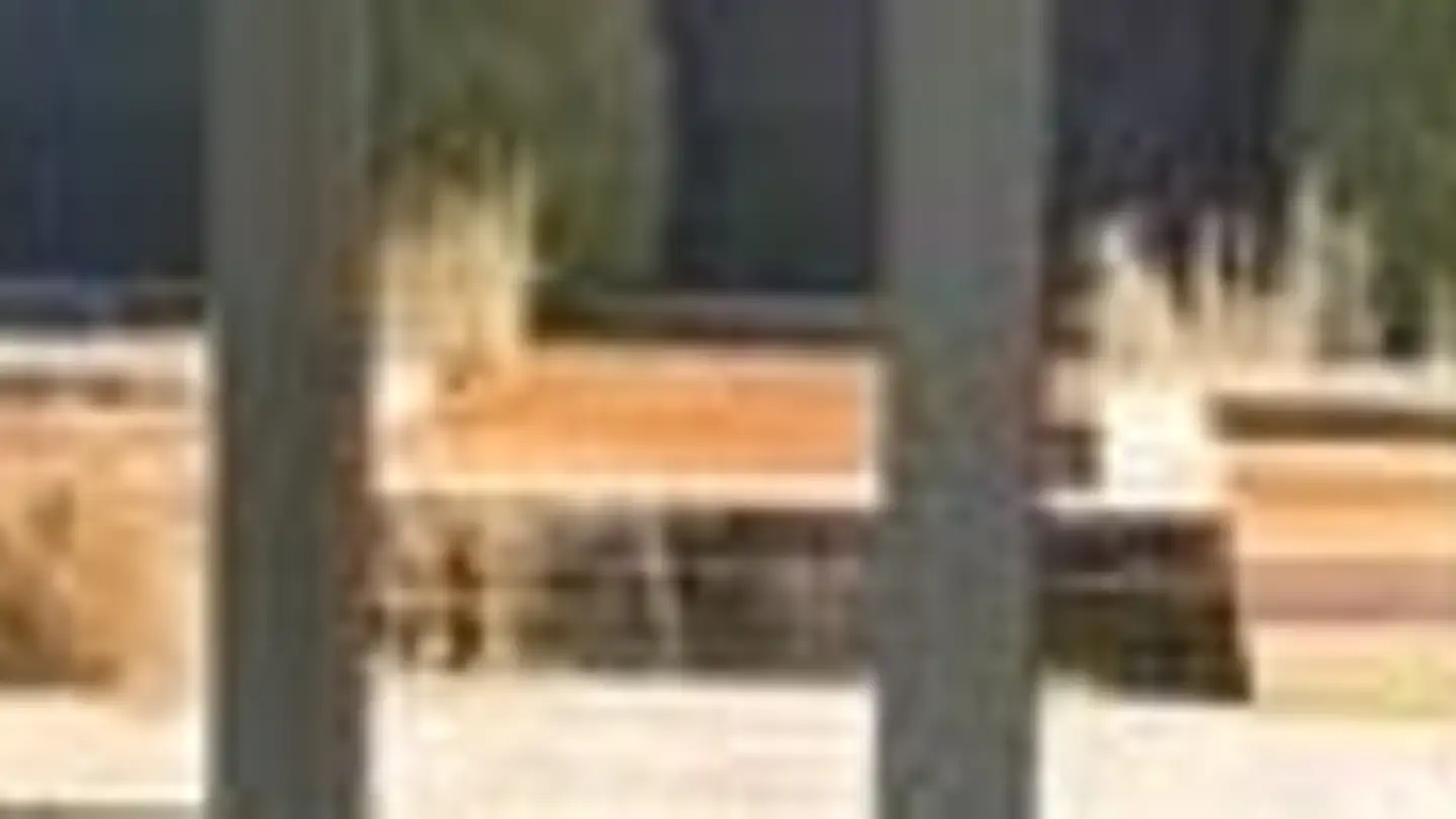 Appartamento in affitto - Döllistrasse, 8592 Uttwil