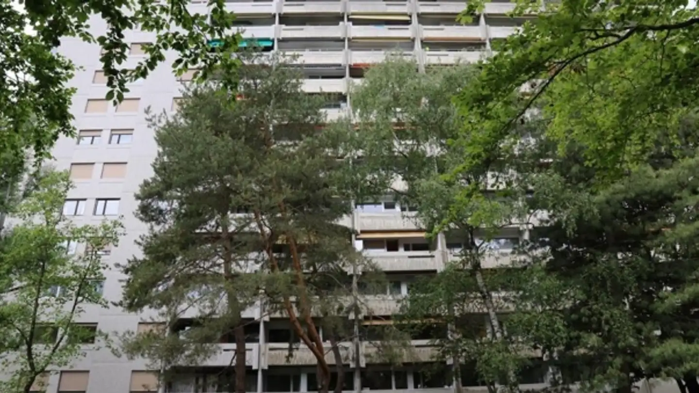 Gewerbe mieten - Avenue Ernest- Pictet 14, 1203 Genève