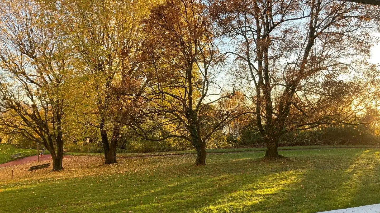 Appartement à louer - Avenue Du Parc-De-La-Rouvraie 22, 1018 Lausanne - Photo 2