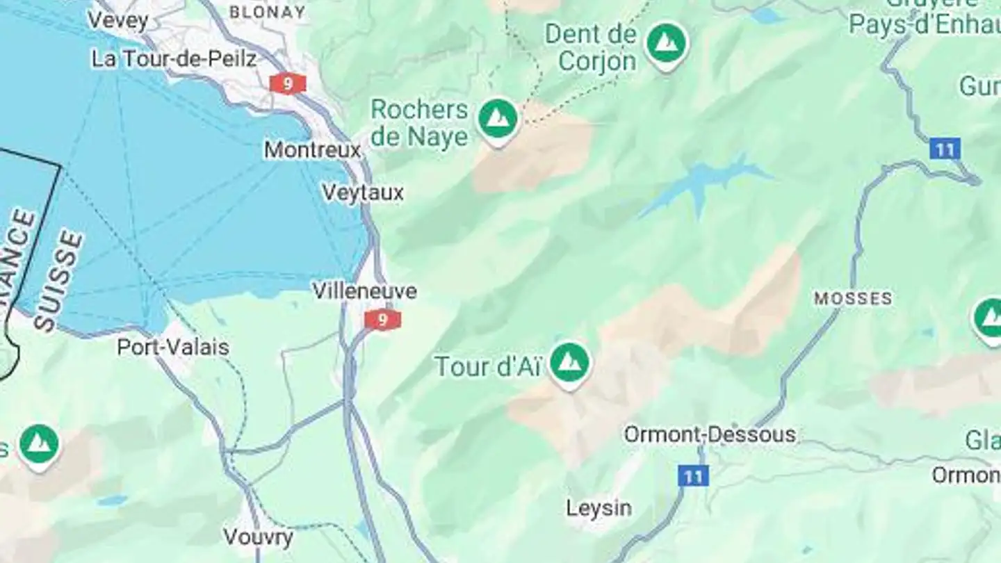 Hotel in vendita - Les Mosses, 1862 Les Mosses - Photo 2