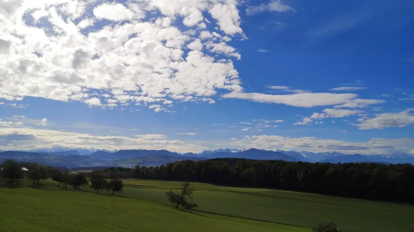 Stanza singola in affitto - 8914 Aeugst am Albis - Photo 3