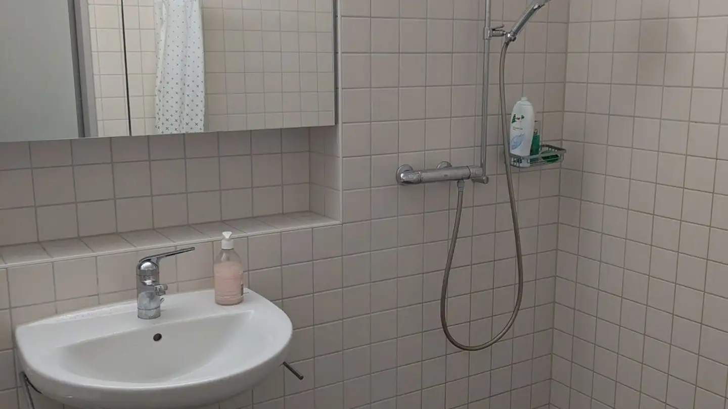 Apartment for rent - Luegislandstrasse 585, 8051 Zürich - Photo 3