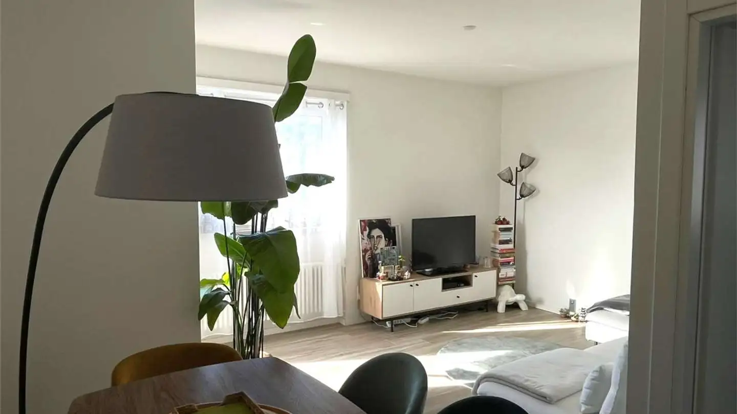 Wohnung mieten - Via Luigi Taddei 1, 6962 Viganello