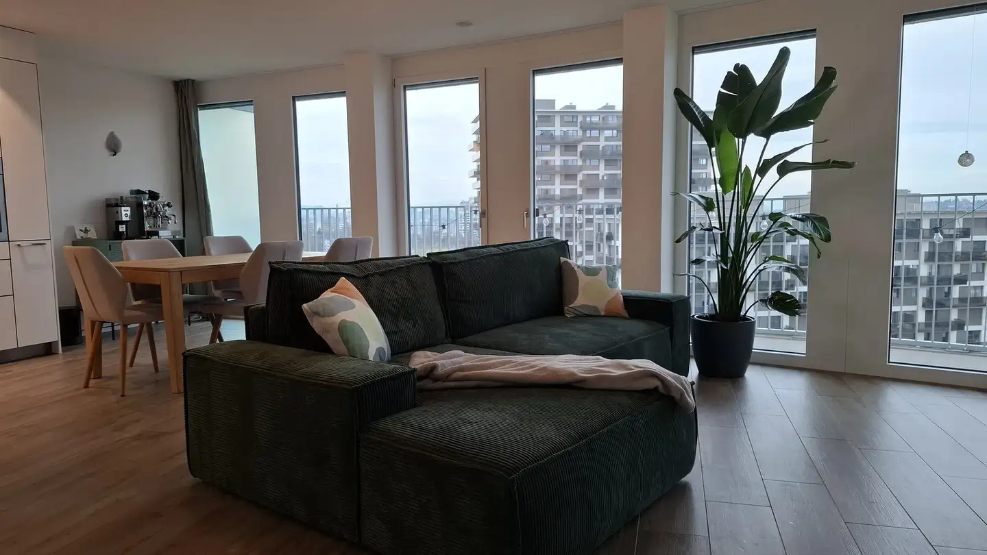 Appartamento in affitto - Am Stadtrand 56, 8600 Dübendorf - Foto 3