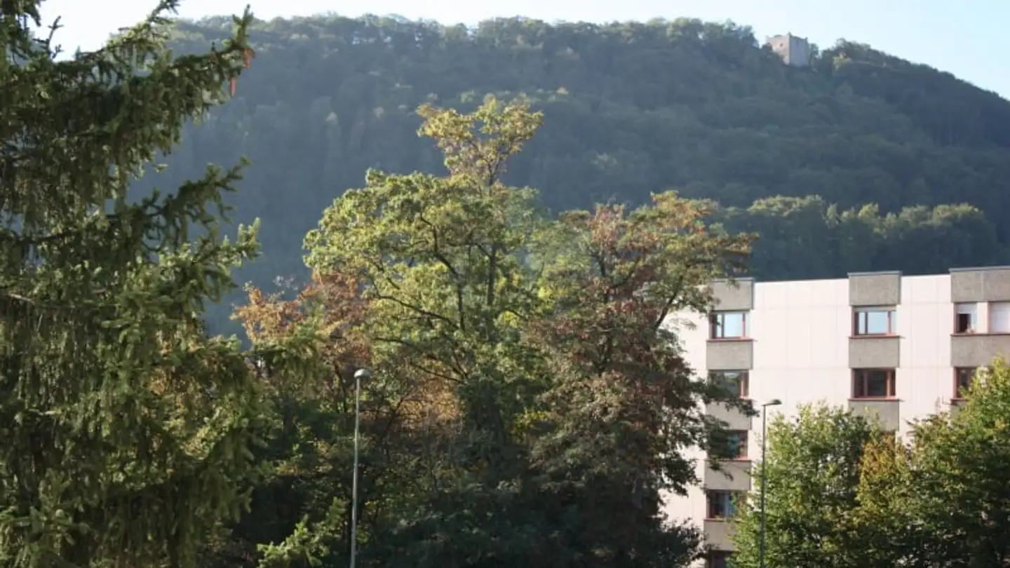 Wohnung mieten - Eptingerstrasse 32, 4132 Muttenz