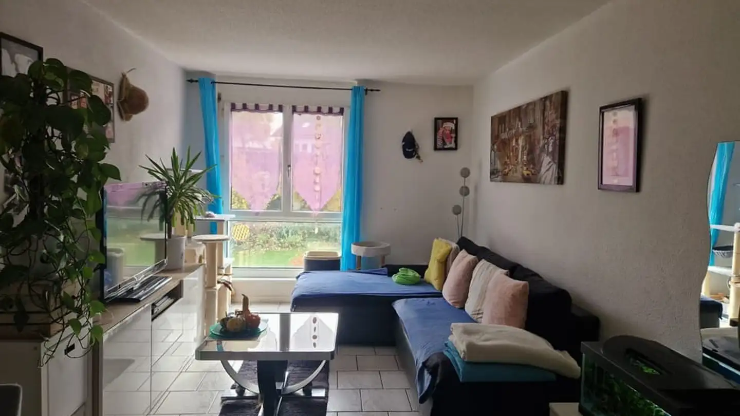 Gewerbe mieten - Route De Morat, 1791 Courtaman