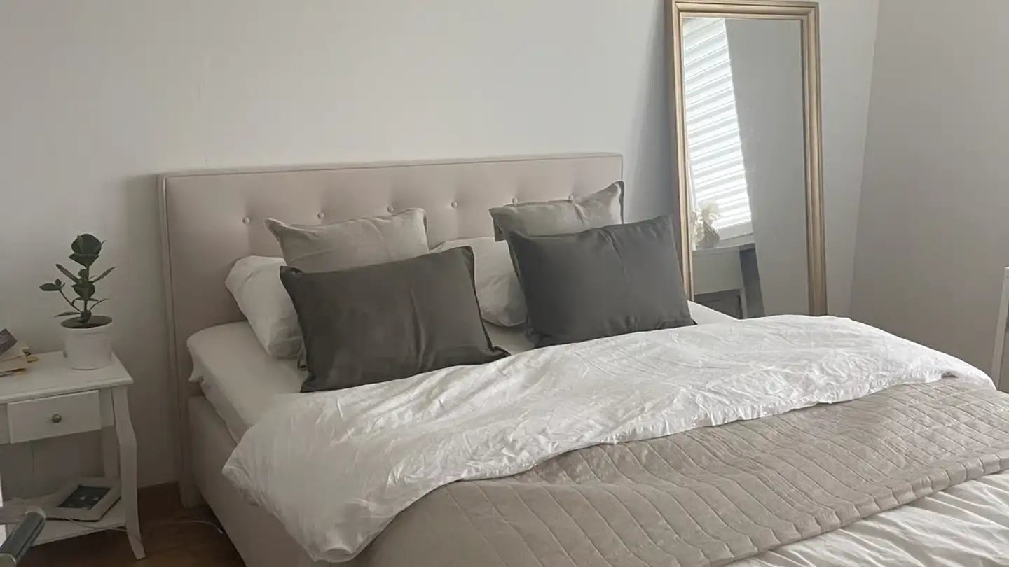 Appartamento in affitto - Holzlegistrasse 26, 8408 Winterthur - Foto 4