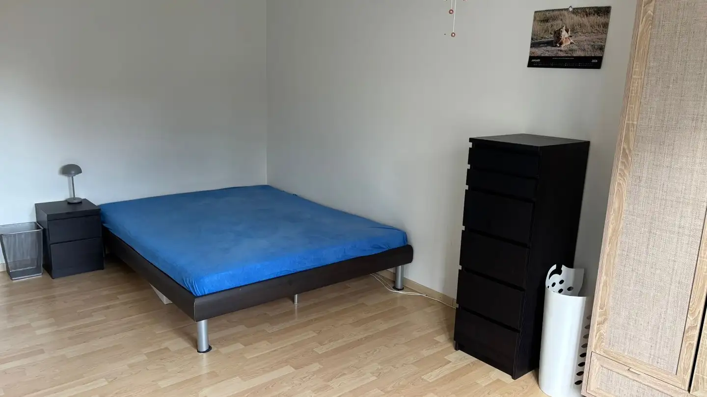 Single room for rent - Leemannstrasse 1, 8952 Schlieren - Photo 2