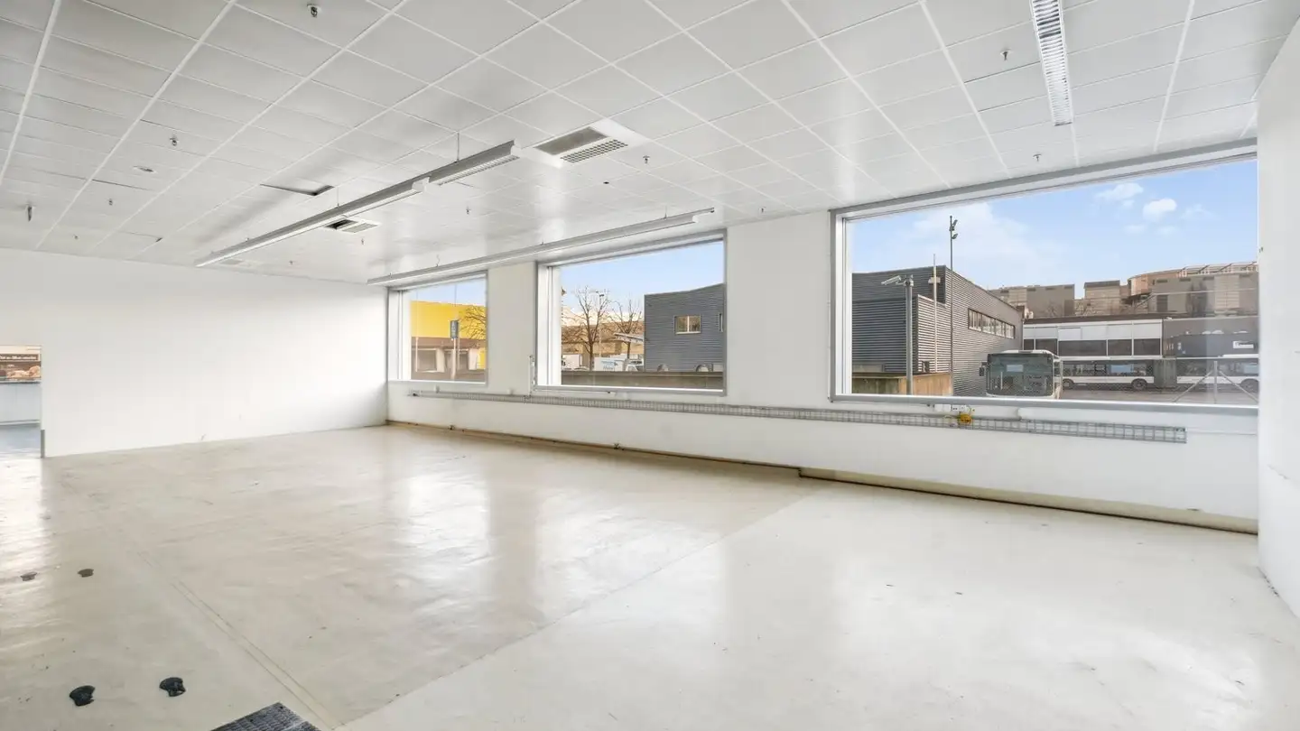 Proprietà industriale in affitto - Chemin Du Pré-Fleuri 1, 1228 Plan-les-Ouates - Foto 4