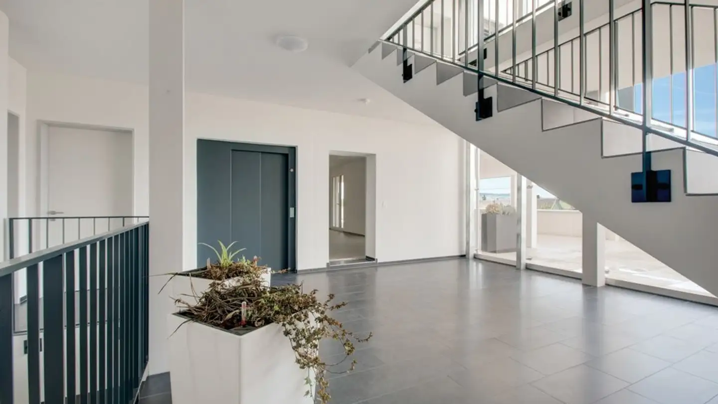 Commerciale in affitto - Höhenrainstrasse 3a, 8586 Riedt b. Erlen - Photo 3