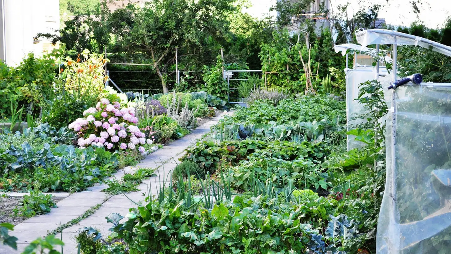 Laboratorio in affitto - Vogelsangweg, 7000 Chur