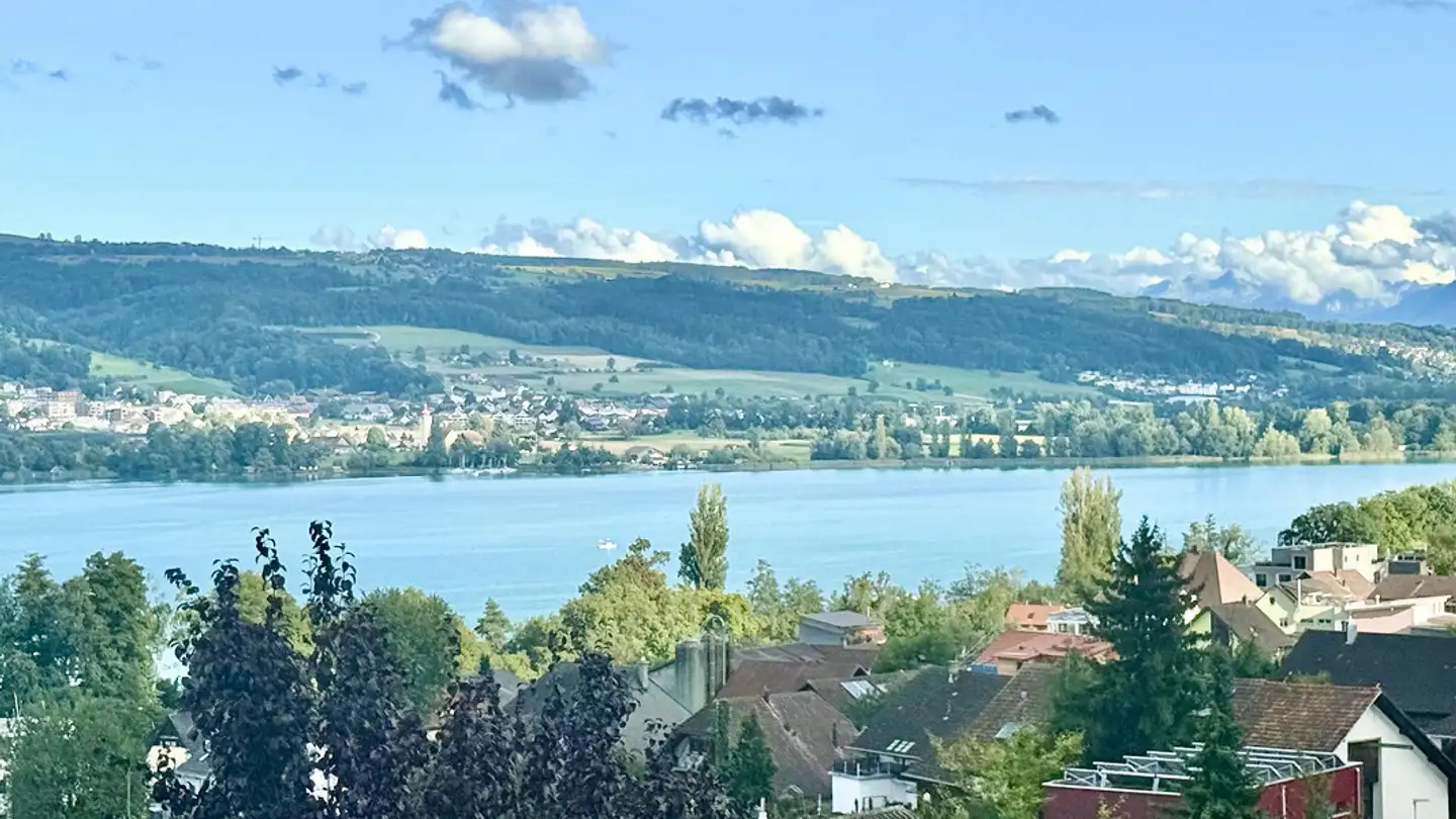 Semi-detached house for sale - Seestrasse 30, 5712 Beinwil am See - Photo 3